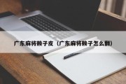 广东麻将赖子皮（广东麻将赖子怎么翻）
