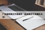 广东麻将梅兰竹菊照片（麻将梅兰竹菊图片大全）