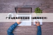 广东汕尾海丰带花麻将（汕尾海丰花市）