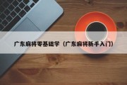 广东麻将零基础学（广东麻将新手入门）