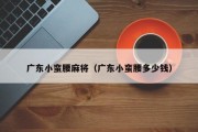 广东小蛮腰麻将（广东小蛮腰多少钱）