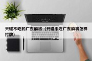 只碰不吃的广东麻将（只碰不吃广东麻将怎样打牌）